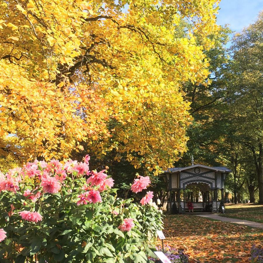 Allee Apartment Baden-Baden Kültér fotó